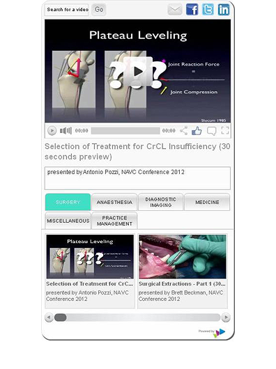 Screenshot of video player