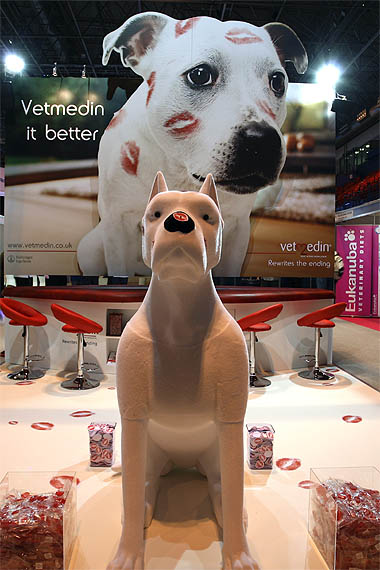 ‘Pepper’ the Vetmedin dog before his 2,000 kisses at this year’s BSAVA