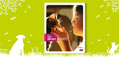 Cover shot of Vet Report website