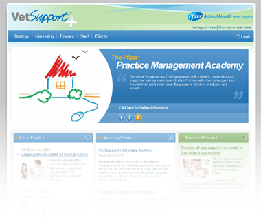 Screenshot of new website home page