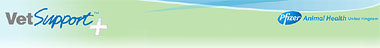 VetSupport+ header