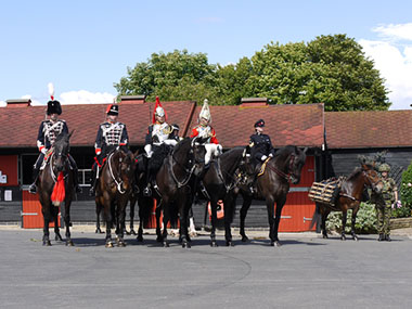 Photo of horses on parade