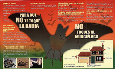 Rabies awareness brochure, Chile