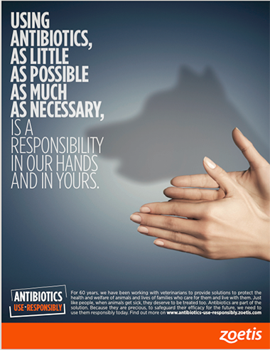 Poster from the campaign